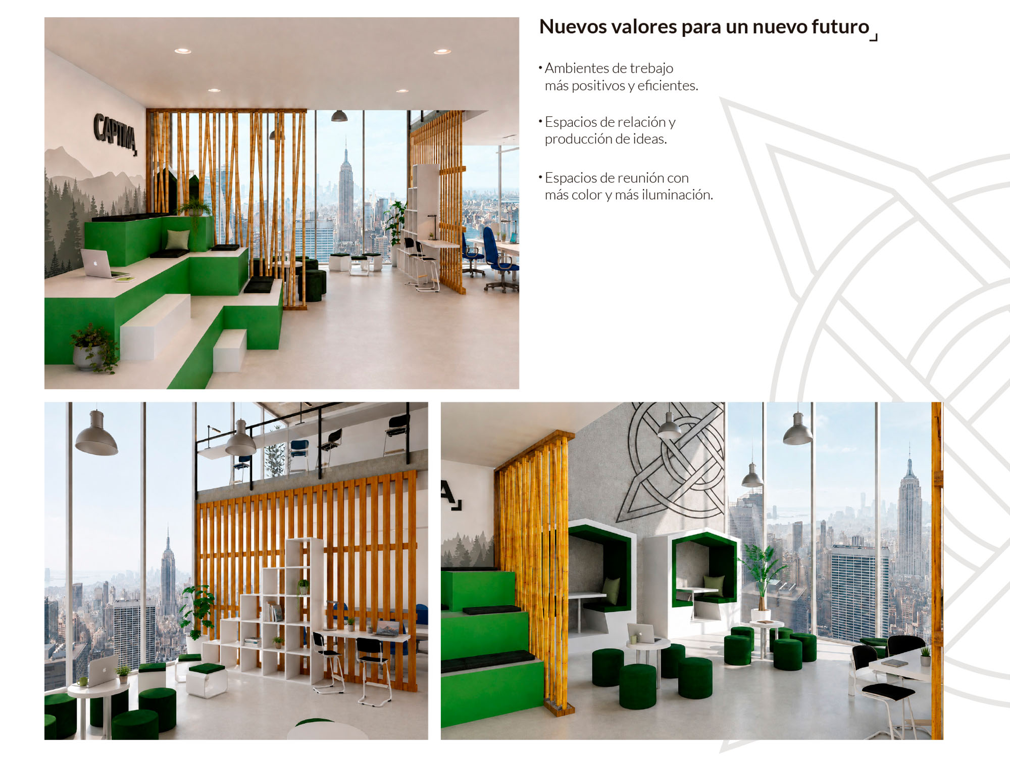 Nuevos valores